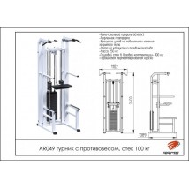 AR049 Турник с противовесом (стек 100кг)